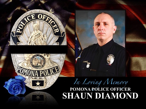 In loving memory of Shaun Diamond