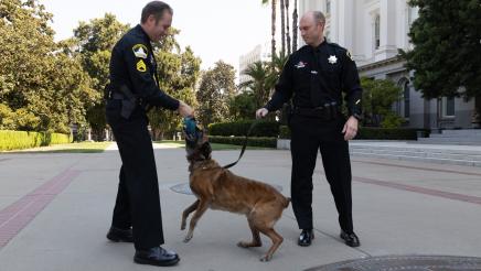 Asm. Rodriguez and K9 Dogs in Celebration of AB 463