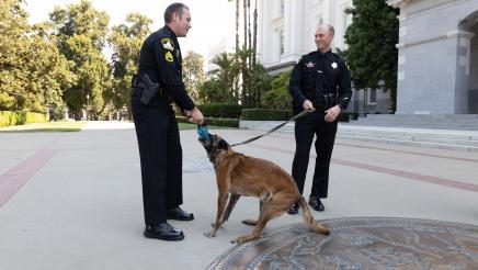 Asm. Rodriguez and K9 Dogs in Celebration of AB 463